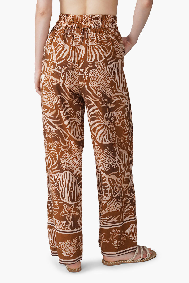 Set of 6 Mocha Tide Shell Printed Pants (S, M & L)