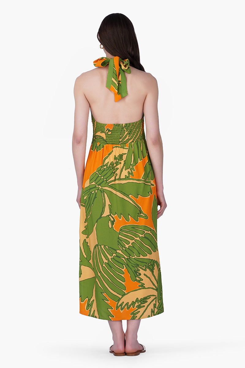 Set of 6 Lime Sun Tucan Printed Halter Dress (S, M & L)