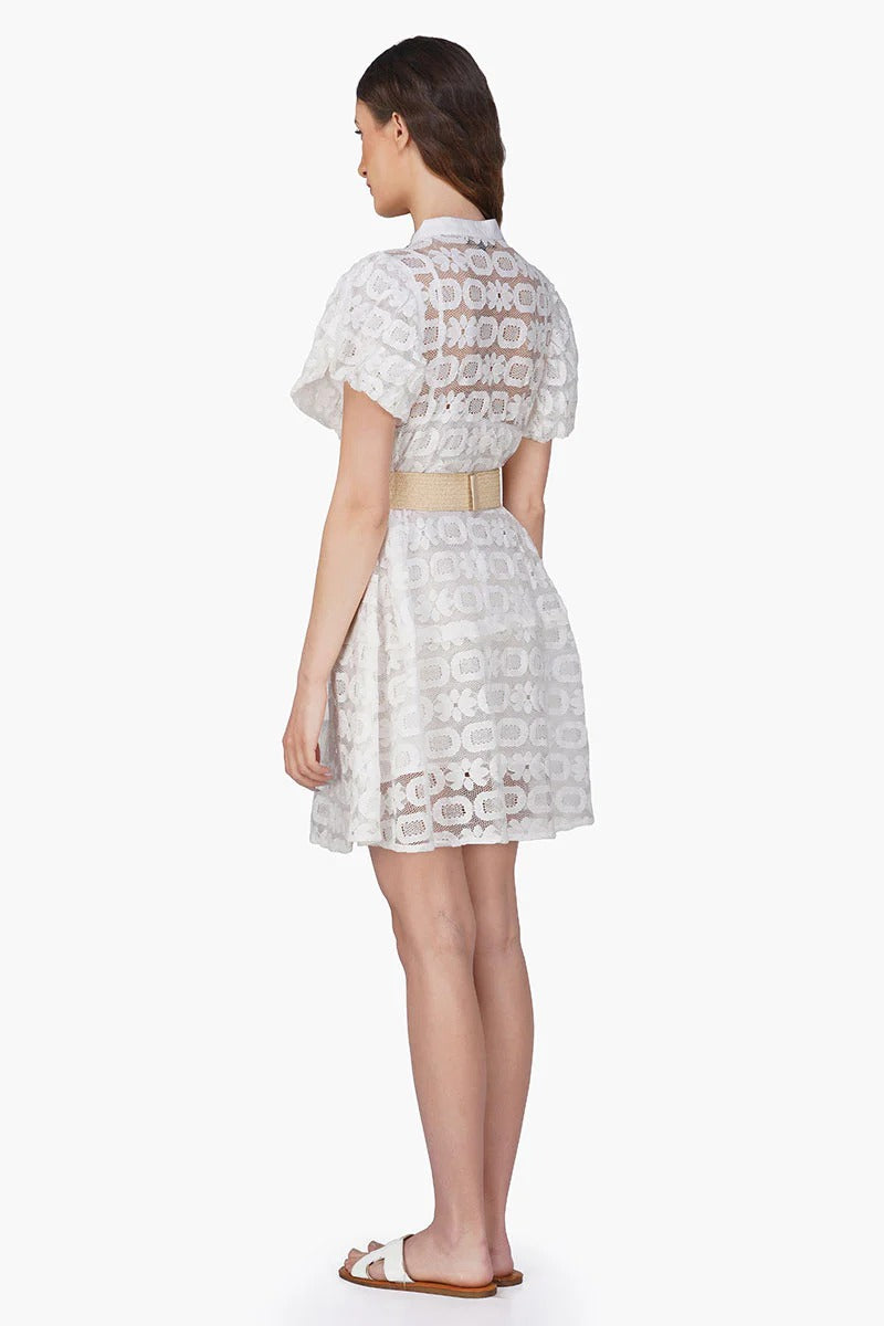 Set of 6 Snow-White Lace Short Dress (S,M,L)