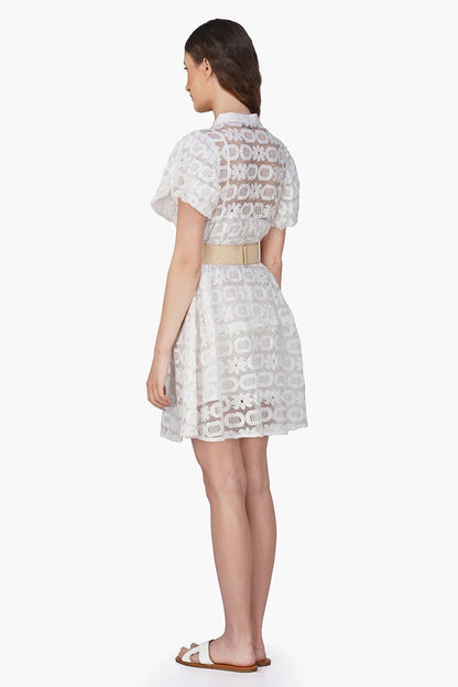 Set of 6 Snow-White Lace Short Dress (S,M,L)