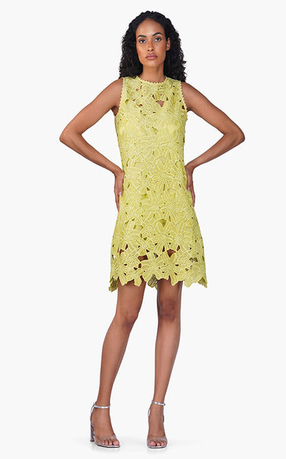 Set of 6 Fall For Neon Floral Lace Short Dress (S,M,L)