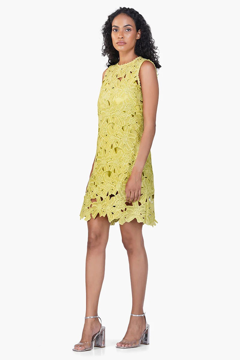 Set of 6 Fall For Neon Floral Lace Short Dress (S,M,L)