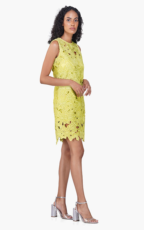 Set of 6 Fall For Neon Floral Lace Short Dress (S,M,L)