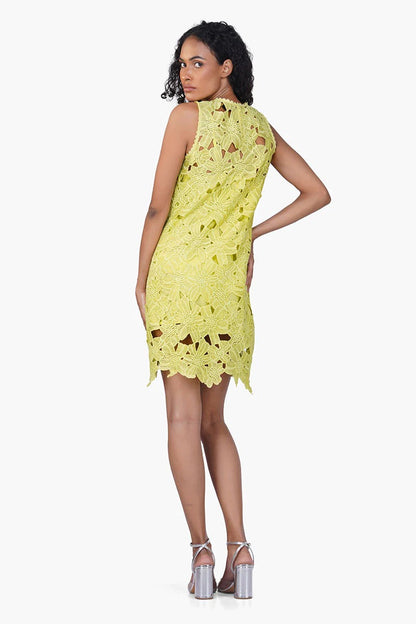 Set of 6 Fall For Neon Floral Lace Short Dress (S,M,L)