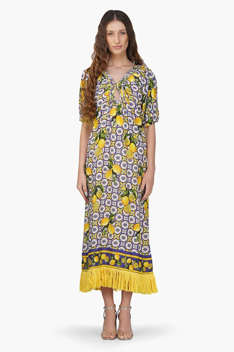 Citrus Lemon Print Dress