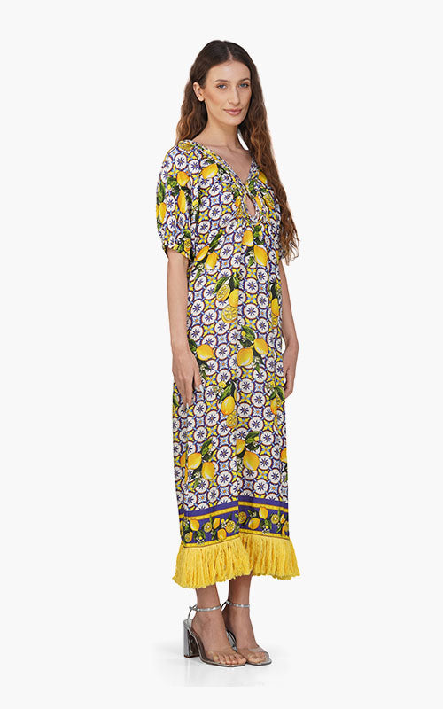 Citrus Lemon Print Dress