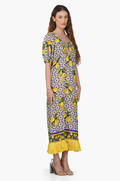 Citrus Lemon Print Dress