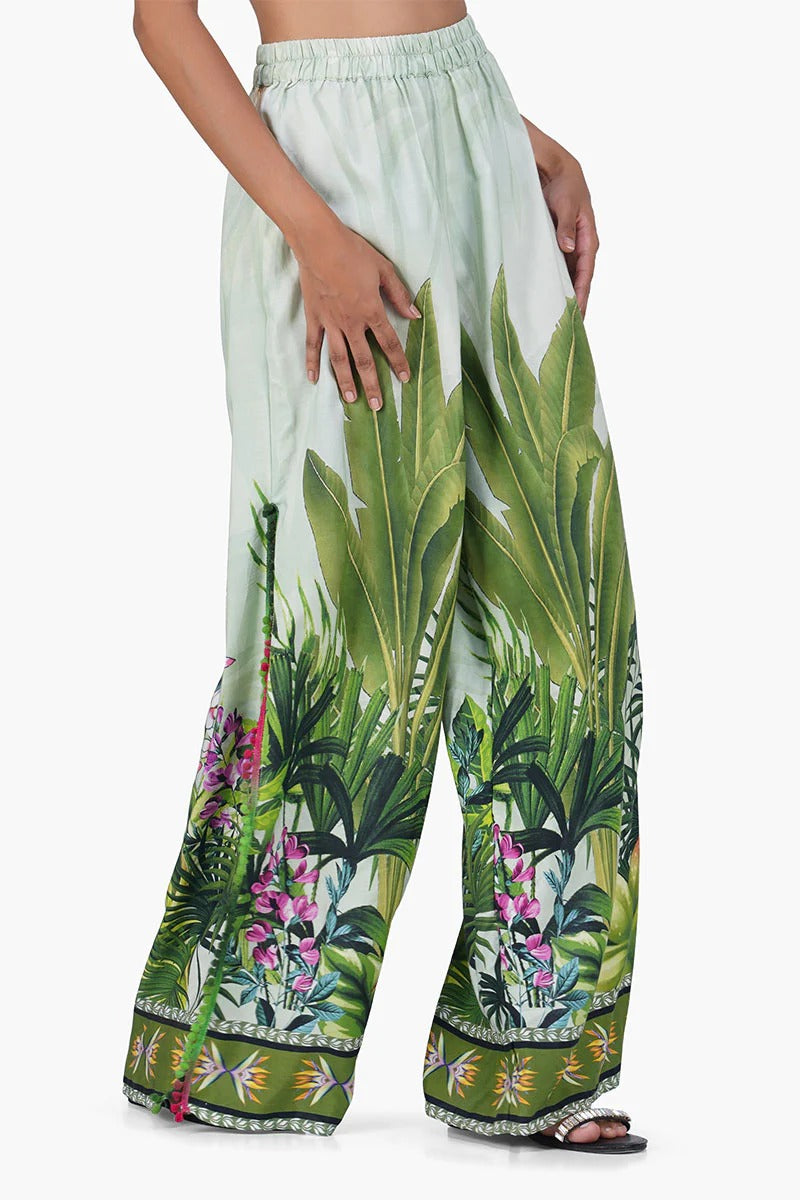 Set of 6 Olivia Printed Pant  (S,M,L)