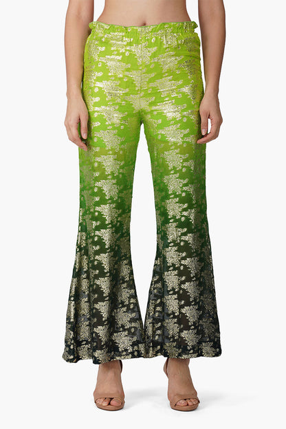 Set of 6 Flying Macaw Pant (S,M,L)