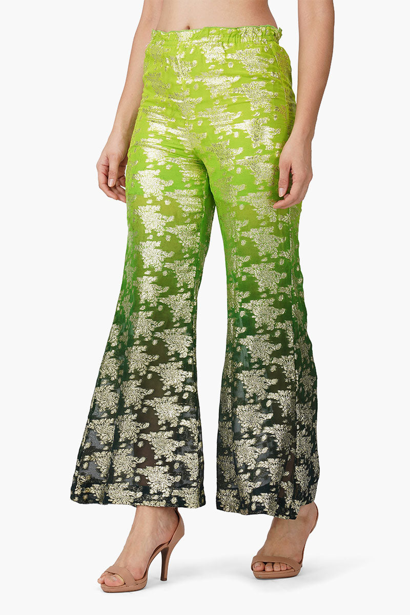 Set of 6 Flying Macaw Pant (S,M,L)