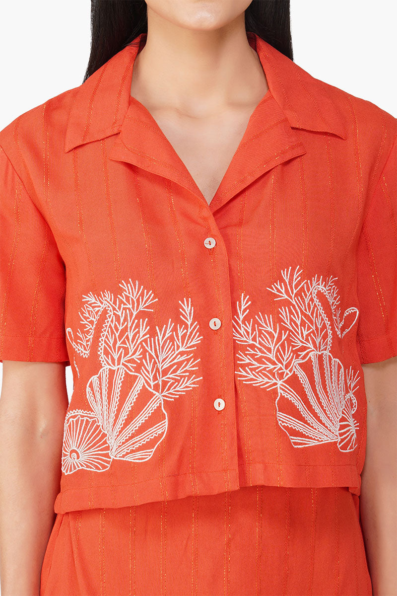 Set of 6 Cassie Embroiderd Shirt (S,M,L)