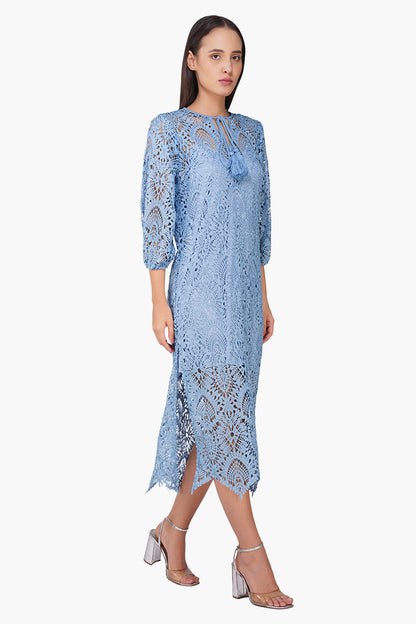 Set of 6 Perivale Lace Net Dress (S, M & L)