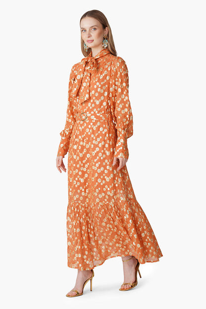 Set of 6 Tangerine Shine Luxe Eveing Maxi Dress (S, M & L)