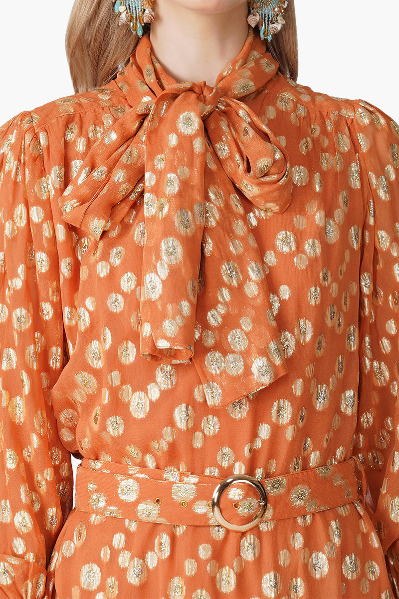 Set of 6 Tangerine Shine Luxe Eveing Maxi Dress (S, M & L)