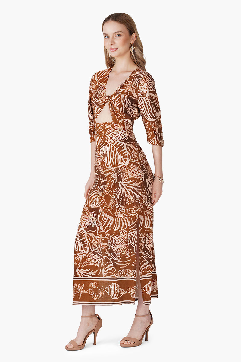 Set of 6 Mocha Tide Shell Printed Dress (S, M & L)