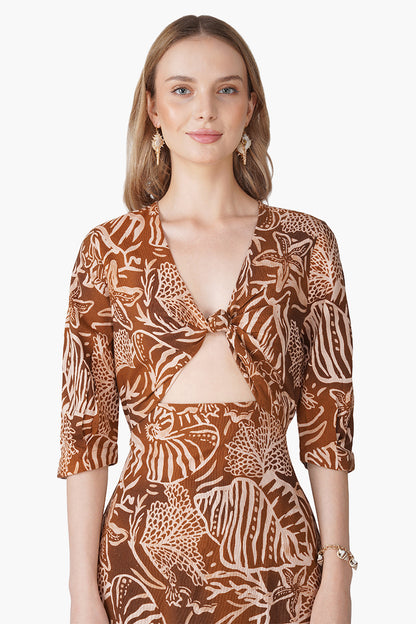 Set of 6 Mocha Tide Shell Printed Dress (S, M & L)