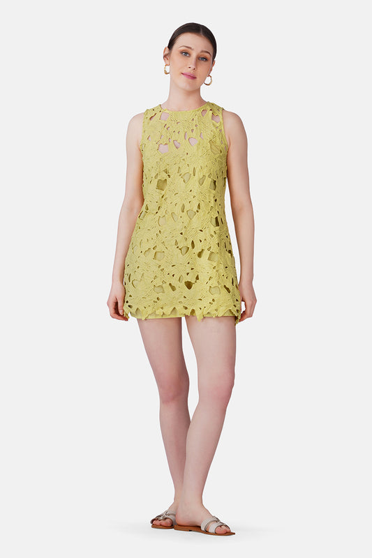 Set of 6 Lime Glow Garden Midi Top  (S, M & L)