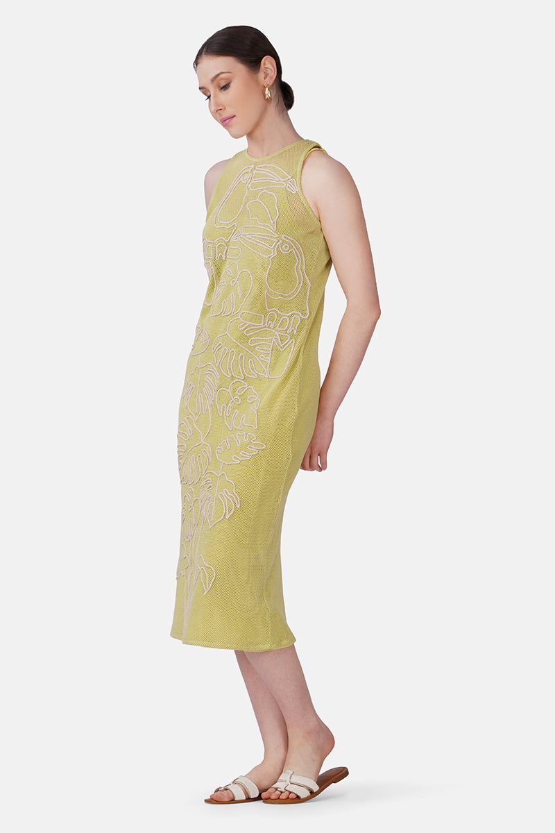 Set of 6 Neon Tucan Dori Curve Bodycone Dress (S, M & L)
