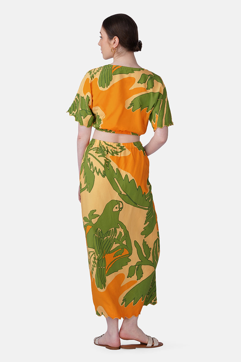 Set of 6 Lime Sun Tucan Printed Wrap Top (S, M & L)