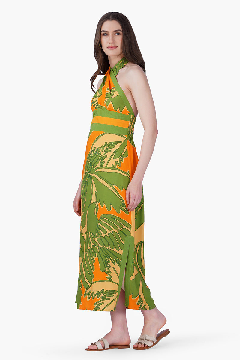 Set of 6 Lime Sun Tucan Printed Halter Dress (S, M & L)