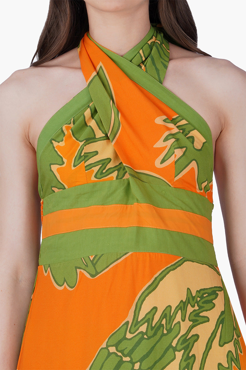 Set of 6 Lime Sun Tucan Printed Halter Dress (S, M & L)