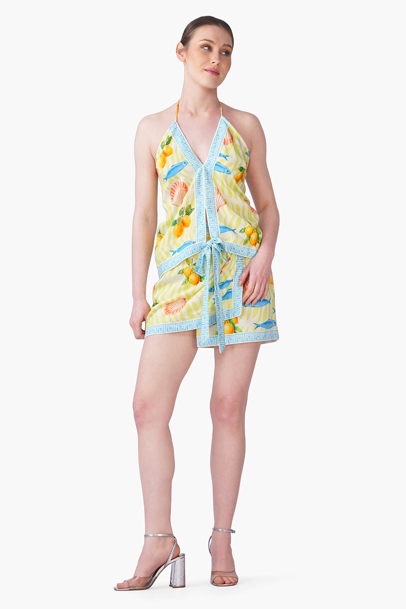 Set of 6 Fish Shell Sunshine Top(S, M & L)