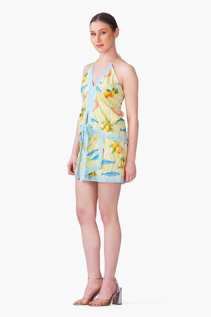 Set of 6 Fish Shell Sunshine Top(S, M & L)