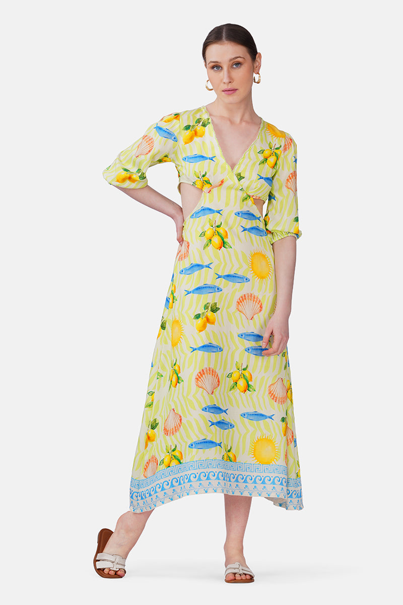 Set of 6 Fish Shell Sunshine Dress(S, M & L)