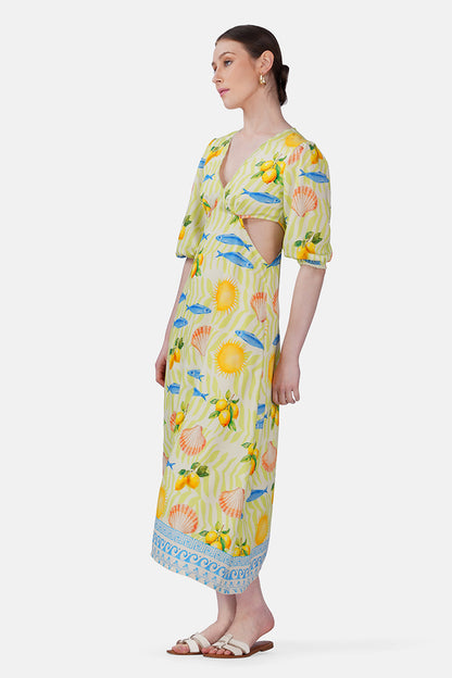 Set of 6 Fish Shell Sunshine Dress(S, M & L)
