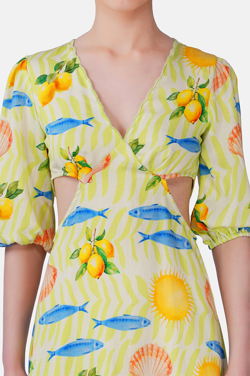 Set of 6 Fish Shell Sunshine Dress(S, M & L)