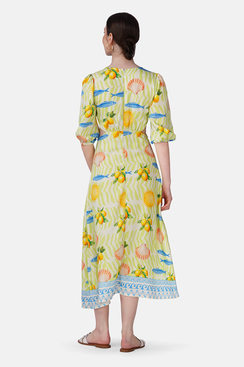 Set of 6 Fish Shell Sunshine Dress(S, M & L)