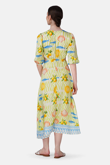 Set of 6 Fish Shell Sunshine Dress(S, M & L)
