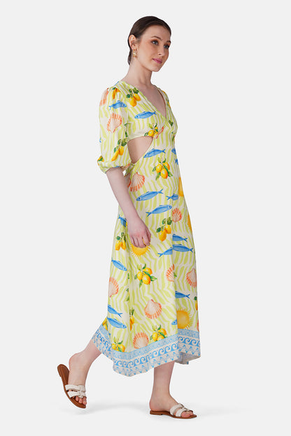 Set of 6 Fish Shell Sunshine Dress(S, M & L)