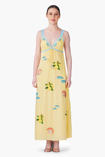 Set of 6 Sardine Citrus Embroidered Dress(S, M & L)