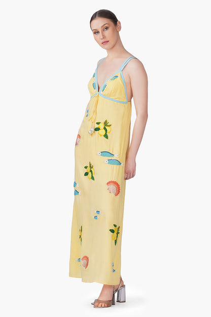 Set of 6 Sardine Citrus Embroidered Dress(S, M & L)
