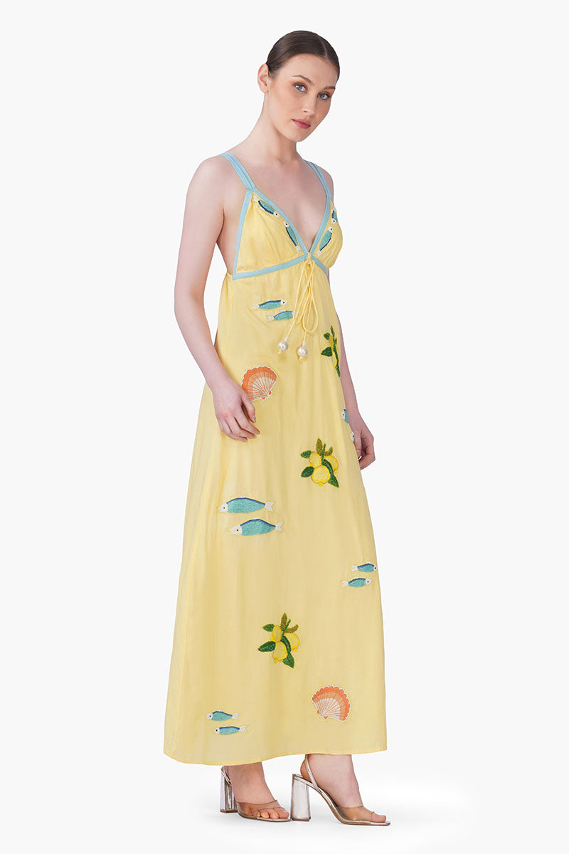 Set of 6 Sardine Citrus Embroidered Dress(S, M & L)