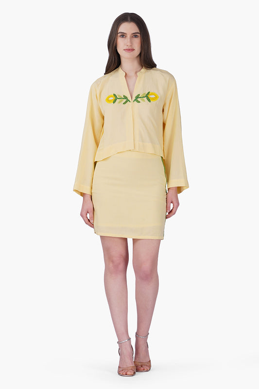 Set of 6 Lemonade Embroidered Yellow Flared Top(S, M & L)