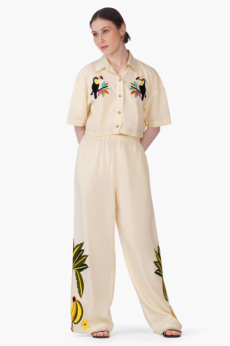 Set of 6 Toucan Carnival Embroidered Pants(S, M & L)