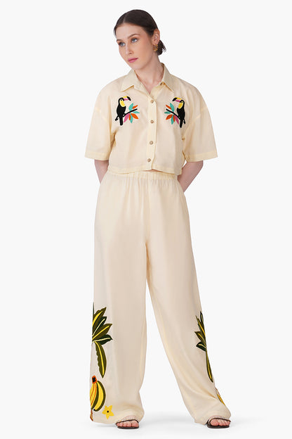Set of 6 Toucan Carnival Embroidered Pants(S, M & L)