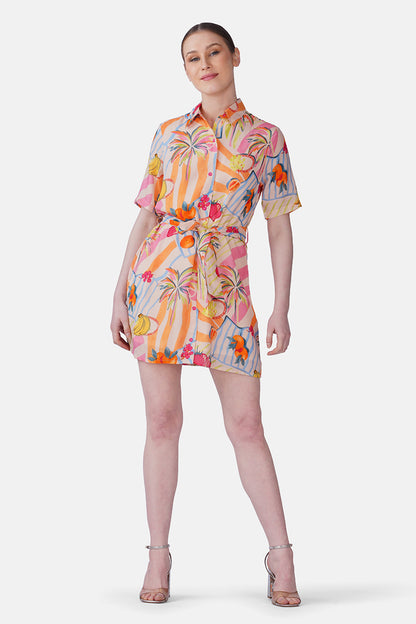 Set of 6 Fruit Berry Pop Shirt Dress(S, M & L)