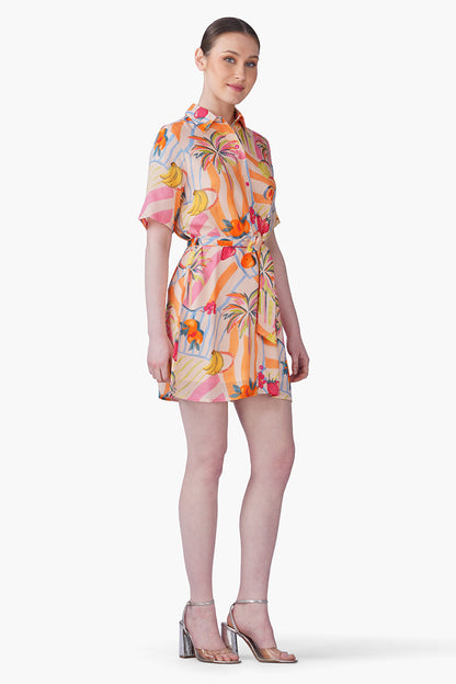 Set of 6 Fruit Berry Pop Shirt Dress(S, M & L)