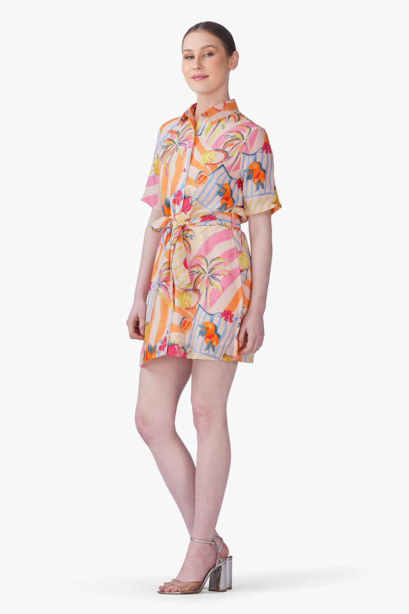 Set of 6 Fruit Berry Pop Shirt Dress(S, M & L)