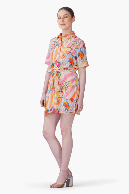 Set of 6 Fruit Berry Pop Shirt Dress(S, M & L)