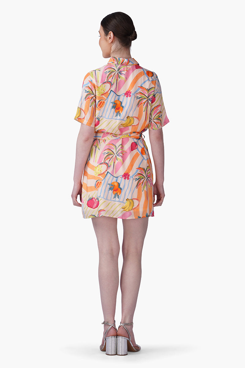 Set of 6 Fruit Berry Pop Shirt Dress(S, M & L)