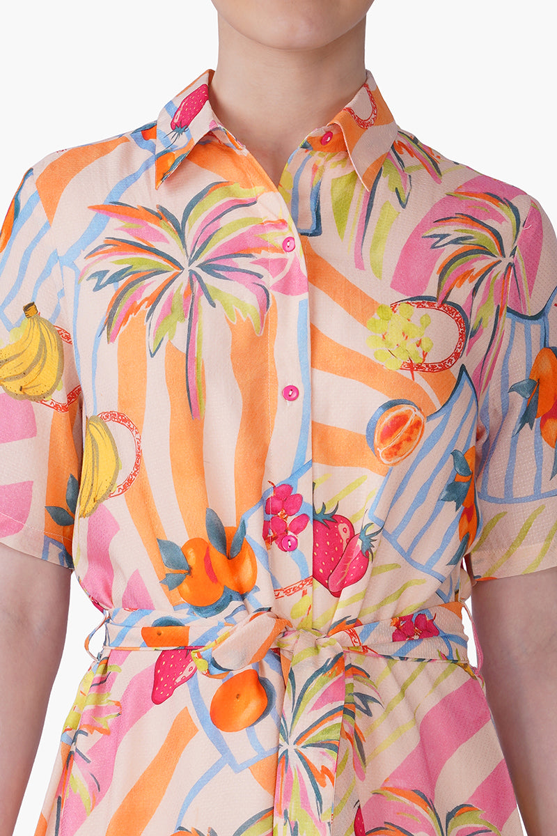 Set of 6 Fruit Berry Pop Shirt Dress(S, M & L)