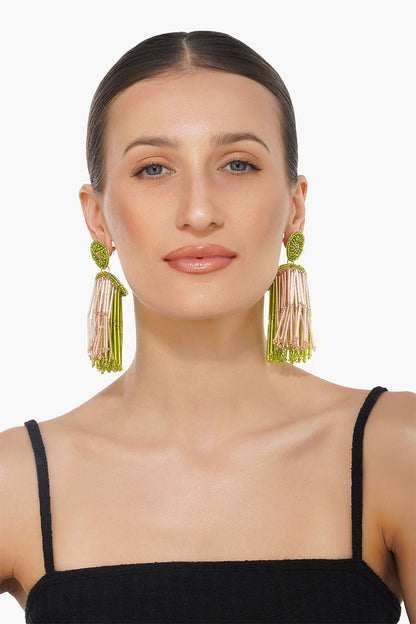 Glamorous Celebrity Earrings