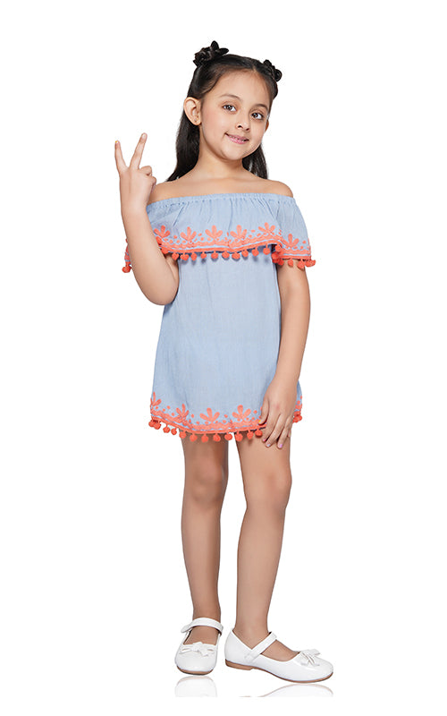 Powder Blue Embroidered Dress  4-7 Years